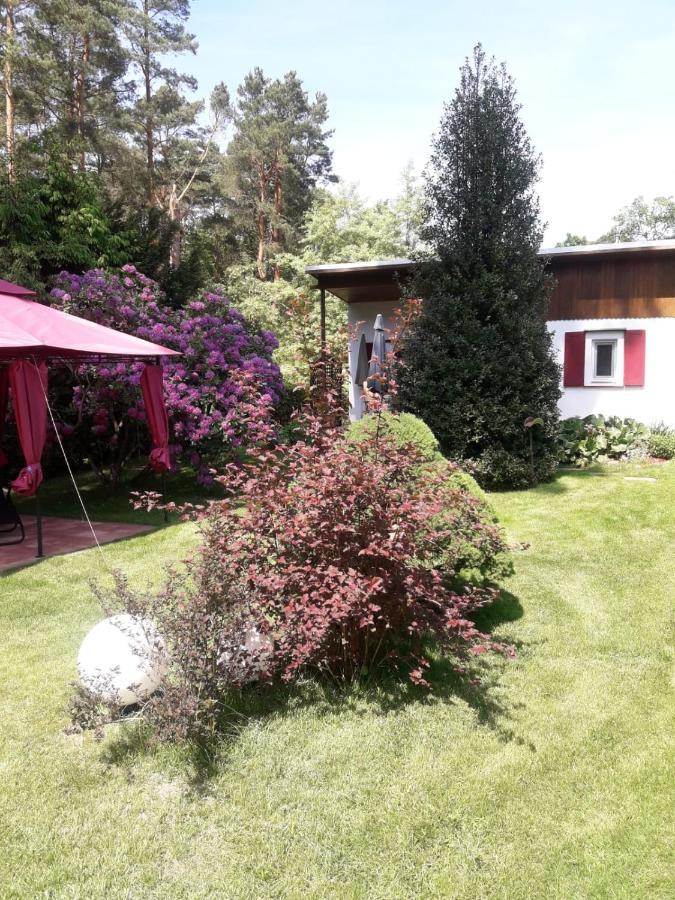 Ferienhaus Am Langen See Heidesee Екстериор снимка